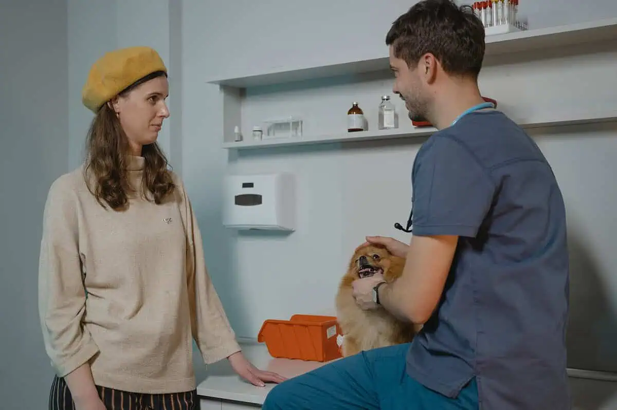 Sprzęt anestezjologiczny dla zwierząt: kompletny przewodnik dla klinik i gabinetów